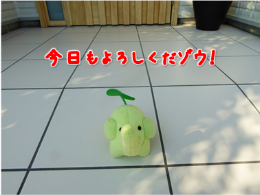 エコファント1
