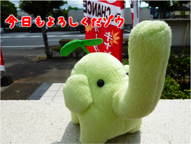 エコファント1