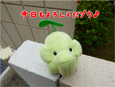 エコファント1