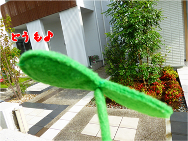 エコファント1