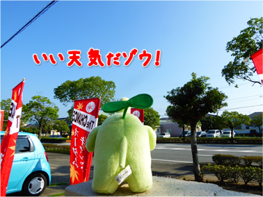 エコファント2
