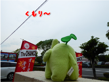 エコファント2