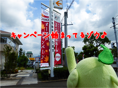 エコファント3