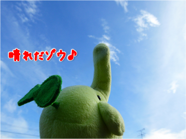 エコファント3