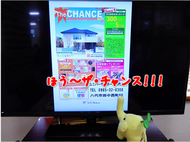 エコファント4