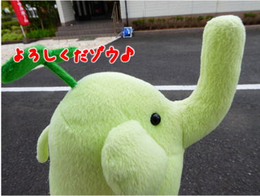 エコファント1