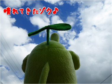 エコファント2
