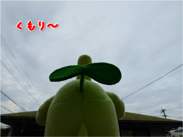 エコファント2