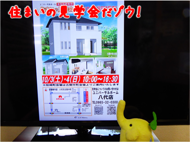 エコファント4