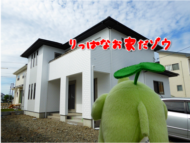 エコファント4