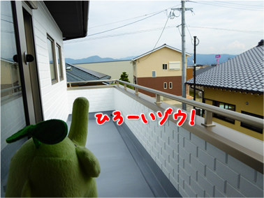 エコファント6