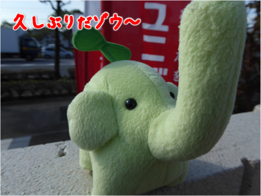 エコファント1