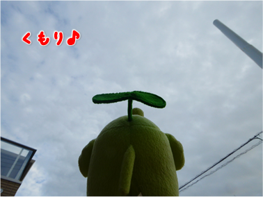 エコファント2