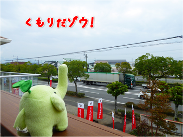 エコファント2