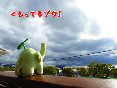 エコファント2