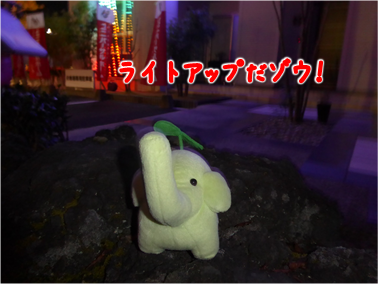 エコファント3