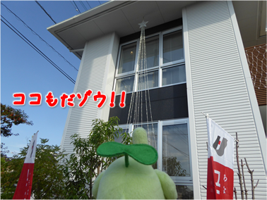 エコファント4