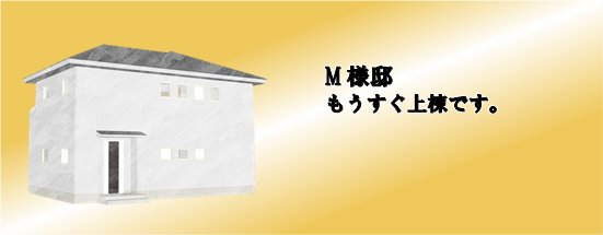 現場情報4