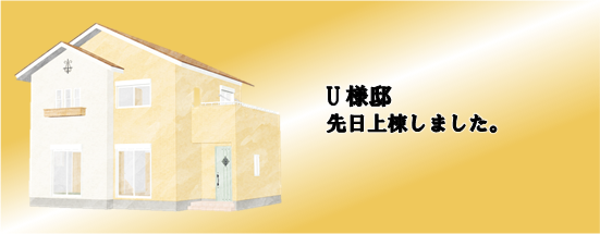 現場情報5