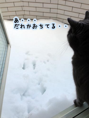 IMG_1595のコピー