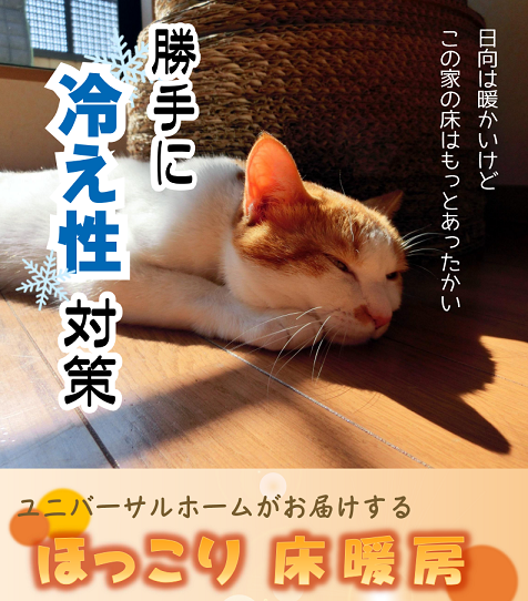 冷え性対策