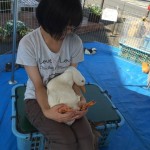 移動動物園