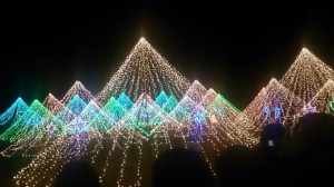 IMG_3032