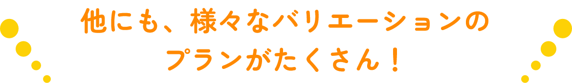 他にも、様々なバリエーションのプランがたくさん！