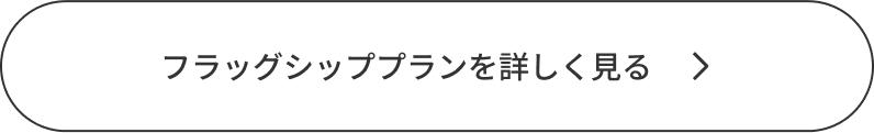 フラッグシッププランを詳しく見る