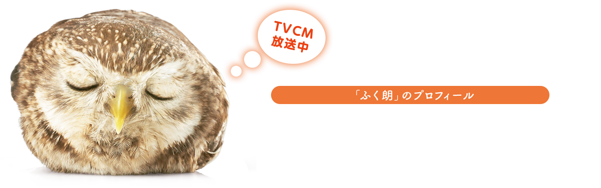 TV CM 放送中 「ふく朗」のプロフィール ユニバーサルホームのおうちの守り神 「ふく朗」年齢：１歳　出身地：ユニバーサルの森　趣味：おひるね 特技：みんなとすぐに仲良くなれる　好きな場所：あったかい地熱床