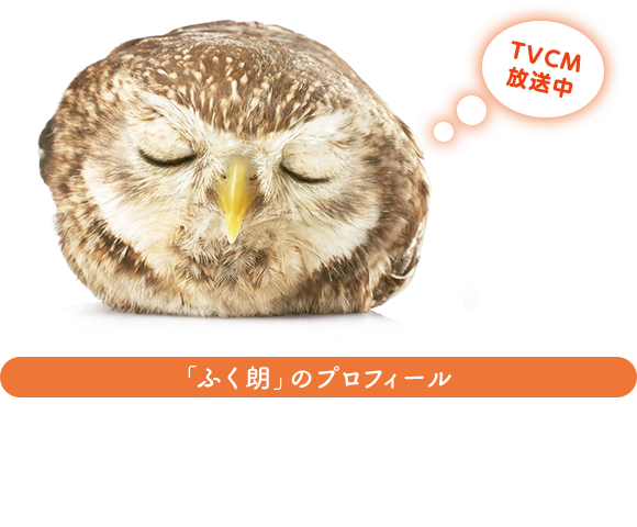 TV CM 放送中 「ふく朗」のプロフィール ユニバーサルホームのおうちの守り神 「ふく朗」年齢：１歳　出身地：ユニバーサルの森　趣味：おひるね 特技：みんなとすぐに仲良くなれる　好きな場所：あったかい地熱床