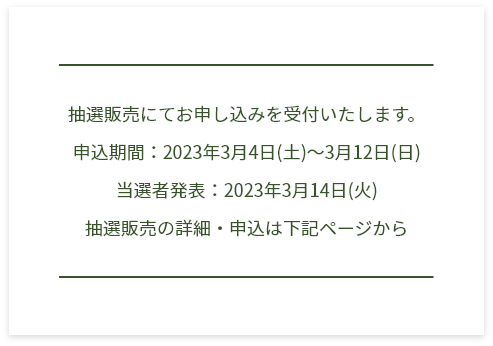 抽選販売実施！