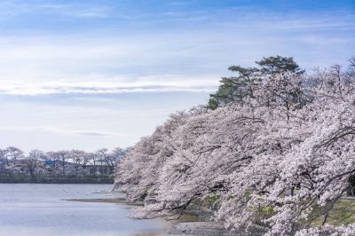 住みやすさを大切にするファミリー世帯におすすめ！福島県でお気に入りのエリアを見つけよう