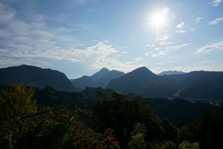 住みやすさで選ぶならどこ！大分県のおすすめエリア