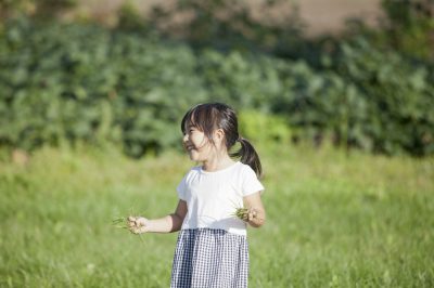 山や川などの自然が豊か！栃木県足利市の住みやすさをチェック