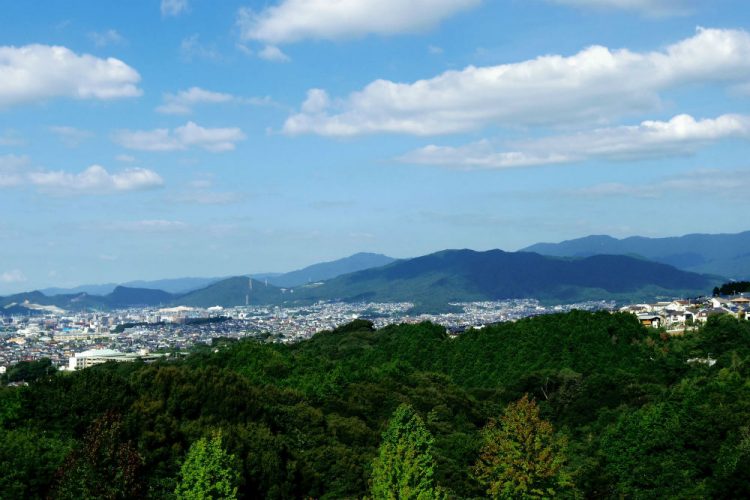 福岡県大野城市の住みやすさを徹底解説！