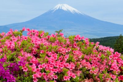 宿場町として栄えた街！静岡県三島市の住みやすさを徹底解剖！