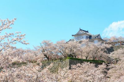 城下町が基礎に！コンパクトな街並みの岡山県津山市の住みやすさ