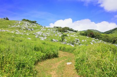 近隣都市のベッドタウン！福岡県行橋市の住みやすさは？