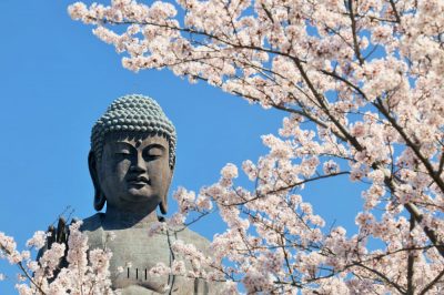 首都圏にも出やすい茨城県牛久市！気になる住みやすさは？