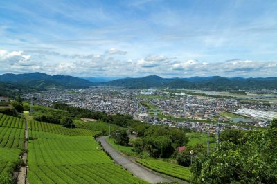 静岡県島田市の生活環境とは？住みやすさを徹底解剖！