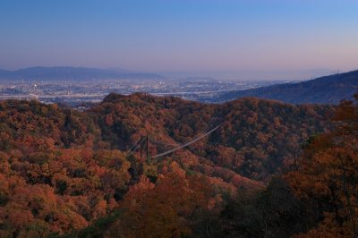 大阪府交野市は魅力ある街！住みやすさに注目してみよう