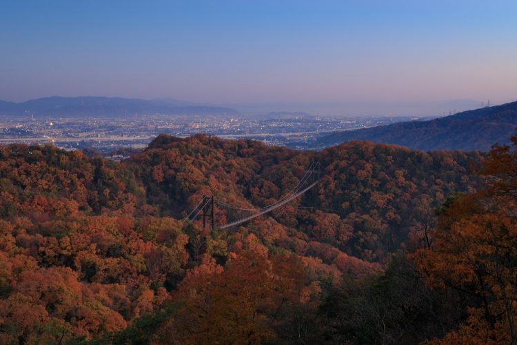 大阪府交野市は魅力ある街！住みやすさに注目してみよう