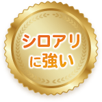 シロアリに強い