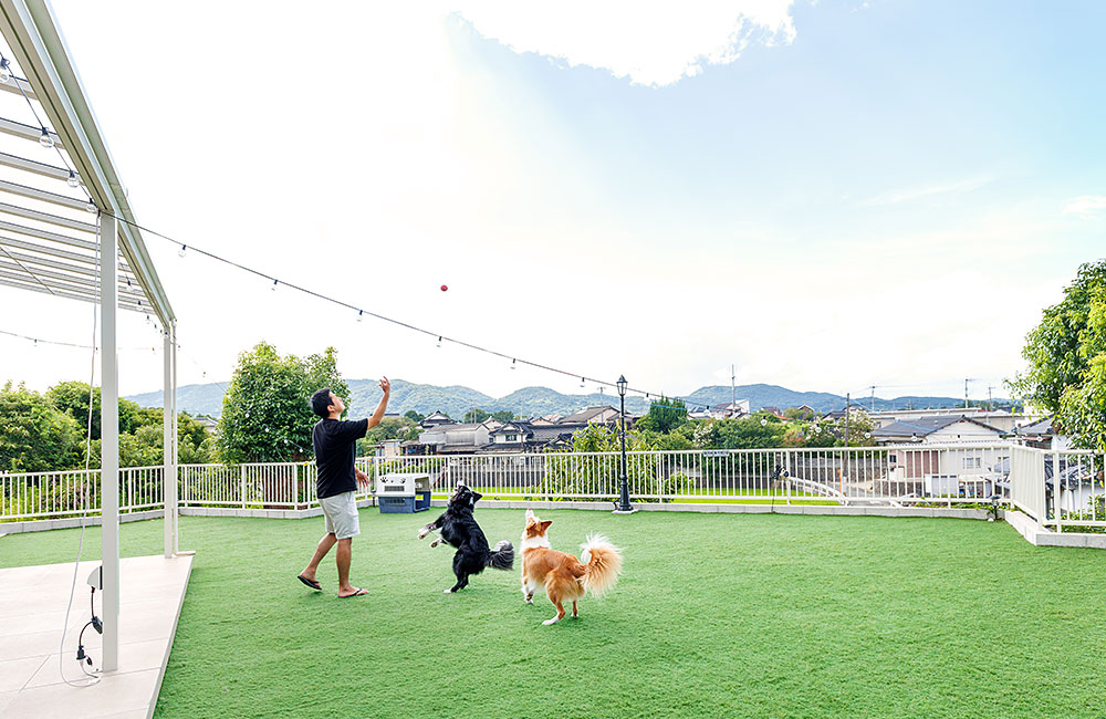 ドッグラン