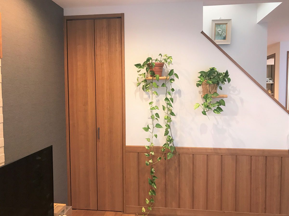 観葉植物の高さに合わせて棚の高さを決めました。また階段下の収納はたっぷり入ります。